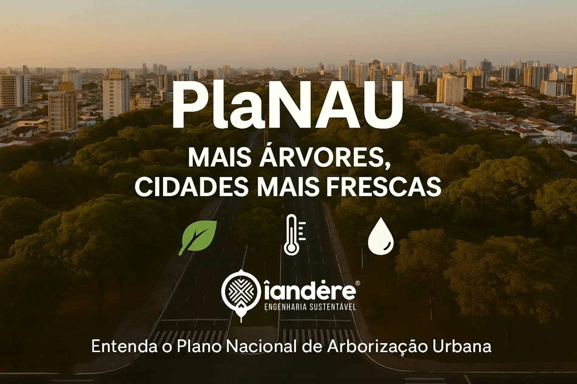PlaNAU: o que o Plano Nacional de Arborização Urbana muda para as cidades brasileiras – e como isso impacta seu negócio